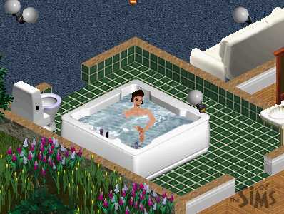 Sora in the Bathtub